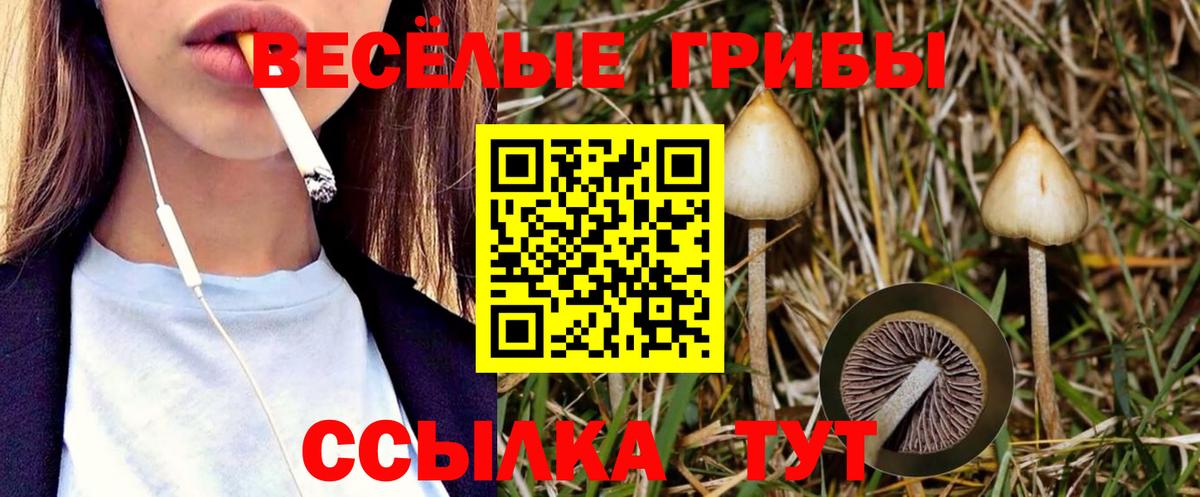 Галлюциногенные грибы ЛСД  Вход с VPN  Славгород  Галлюциногенные грибы Psilocybine cubensis 